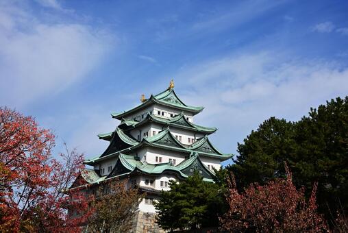 秋の空と名古屋城4 名古屋城,風景,城の写真素材