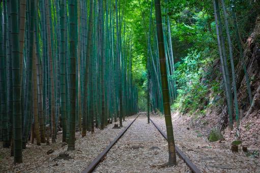 旧国鉄倉吉線廃線跡 旧国鉄倉吉線廃線跡 旧国鉄倉吉線跡,国鉄,旧国鉄の写真素材