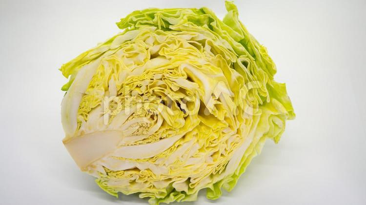 キャベツ　物撮り　白背景 キャベツ,野菜,新鮮の写真素材
