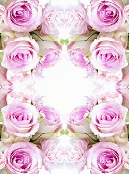主にピンクカラーのバラ花柄素材 花,ピンク,バラの写真素材