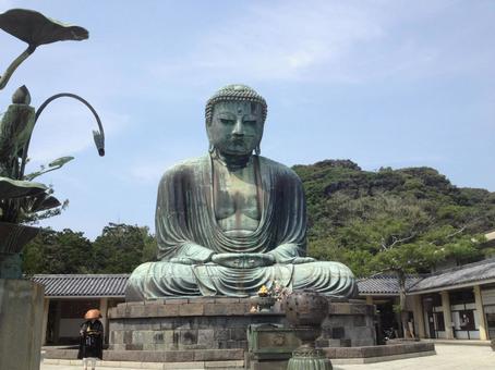 鎌倉の大仏 鎌倉の大仏の写真