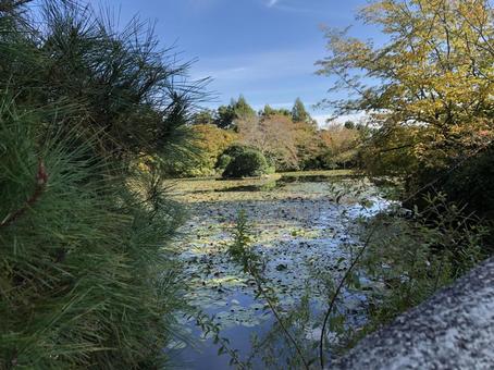 水鏡を漕ぐ 水鏡を漕ぐ 秋,ミスト,風景の写真素材