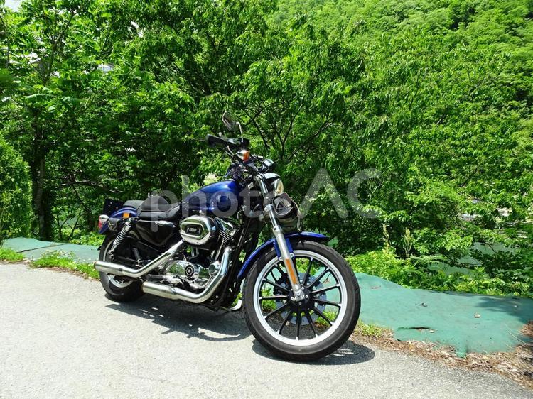 新緑に映えるアメリカンバイク バイク,オートバイ,自然の写真素材