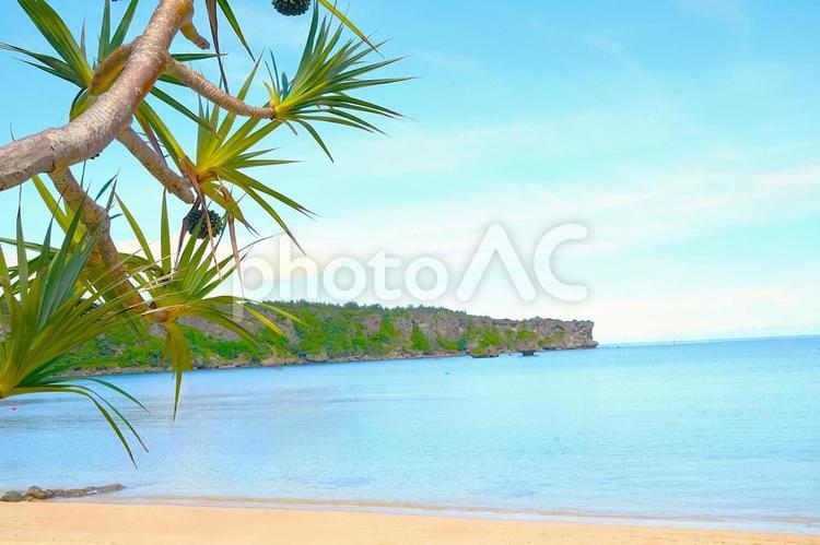 南国の海とグリーン 海,ビーチ,波打際の写真素材