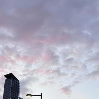 ピンク色の雲 ピンク色の雲の写真