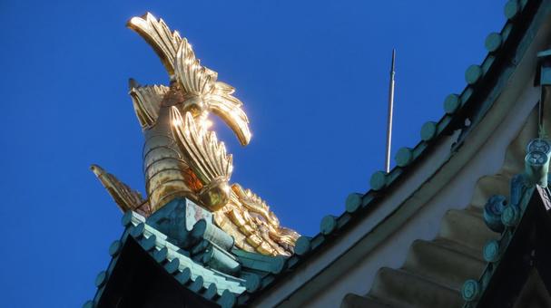 名古屋城　天守の金鯱　雄 名古屋城,尾張徳川家,御三家の写真素材