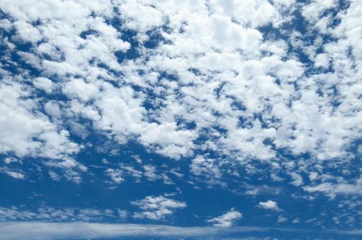 どこまでも続く初夏のうろこ雲 どこまでも続く初夏のうろこ雲 空,雲,色の写真素材