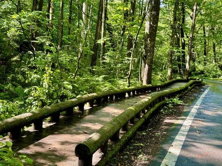 footpath in the mountains, JPG footpath in the mountains, JPG