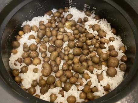 ムカゴご飯 ムカゴ,むかご,山芋の写真素材