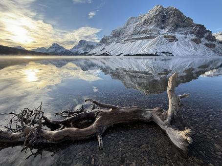 ボウレイクの朝日 ボウレイクの朝日 雪景色,山,氷河の写真素材