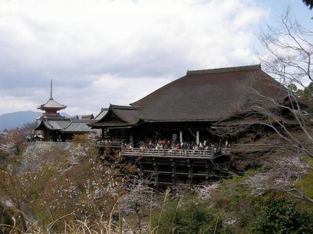 京都 清水寺 京都 清水寺の写真