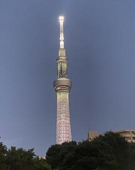 東京スカイツリー ライトアップ 夜景 東京スカイツリー ライトアップ 夜景の写真