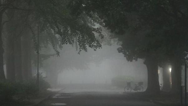 朝霧 朝霧の写真