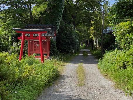 熊野神社参道 熊野神社参道 熊野神社,参道,山形県の写真素材