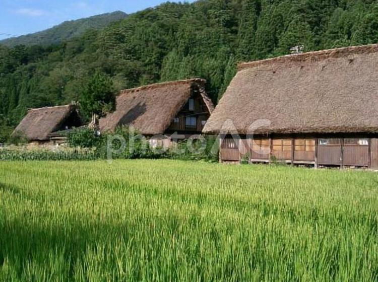 白川郷　合掌造り　家　自然　観光　旅行 村,集落,かやぶきの写真素材