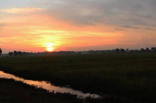 夕焼け空 カンボジア 夕暮れ,夕焼け空,自然の写真素材