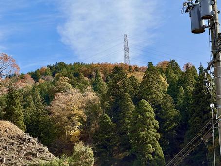 11月　秋の福井県坂井市山奥の景色 電線,鉄塔,秋の写真素材