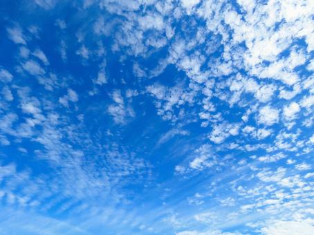 青空に浮かぶうろこ雲 青空に浮かぶうろこ雲の写真