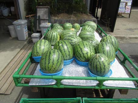 スイカ スイカ 西瓜,果物,縞模様の写真素材