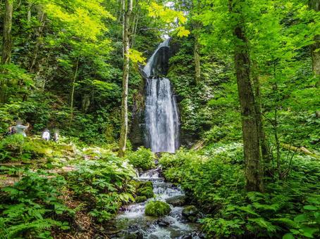 【青森県】奥入瀬渓流・雲井の滝 【青森県】奥入瀬渓流・雲井の滝の写真