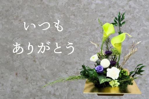父の日のテクスチャ(カーラー) 父の日のテクスチャ(カーラー)の写真