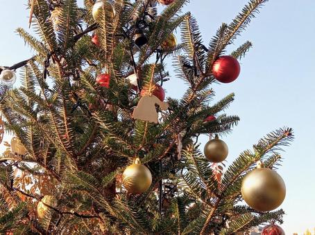 クリスマスツリー クリスマス,クリスマスツリー,イルミネーションの写真素材