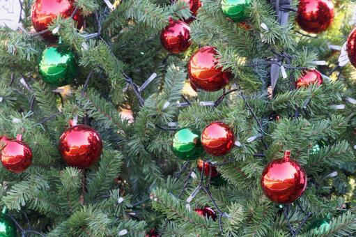 クリスマス８ クリスマス,ツリー,モミの写真素材