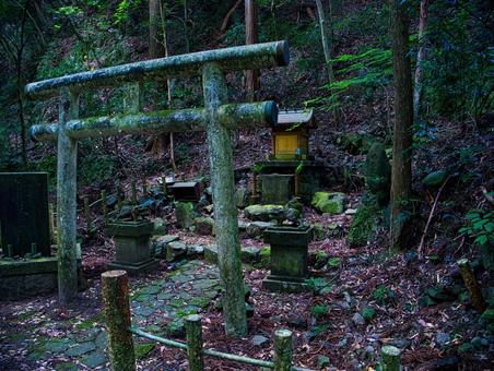 森の中の鳥居 森の中の鳥居 鳥居,神社,神道の写真素材