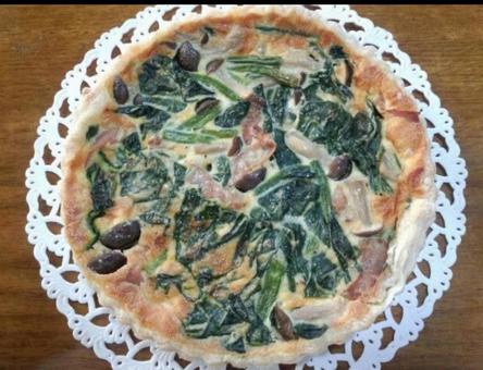Photo, quiche, branch, spinach, 