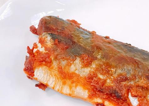 鯖味噌漬け 鯖味噌漬け,鯖,切り身の写真素材