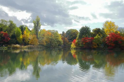 紅葉の池 紅葉の池の写真