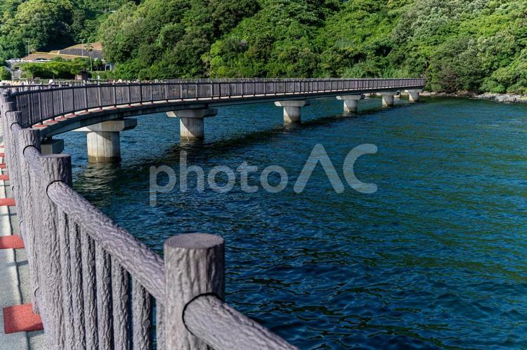 水上に伸びる歩道橋と緑の岸辺 遊歩道,歩道橋,海上橋の写真素材