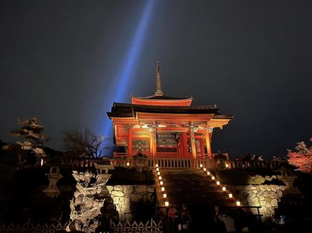 ライトアップされた夜の神社 ライトアップされた夜の神社 神社,ライトアップ,夜景の写真素材