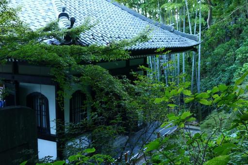 経蔵 長谷寺,経蔵,輪蔵の写真素材