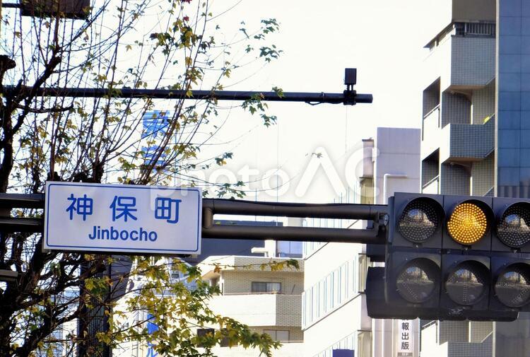 標識と黄信号 交通,信号,屋外の写真素材