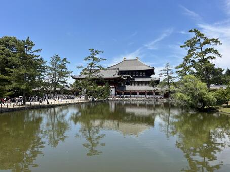 東大寺 東大寺,奈良,寺院の写真素材