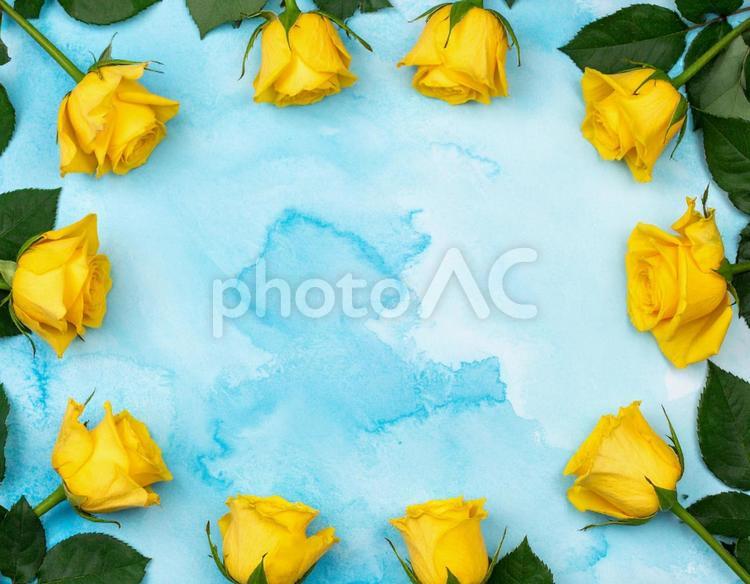水色の水彩画風背景に黄色いバラのフレーム 父の日,薔薇,バラの写真素材