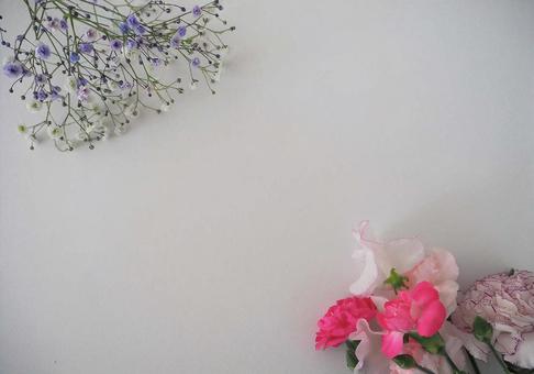 カーネーションとかすみ草 カーネーションとかすみ草の写真