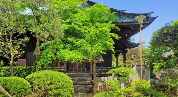坂東33観音 11番 安楽寺 本堂 坂東33観音 11番 安楽寺 本堂 安楽寺,岩殿山,本堂の写真素材