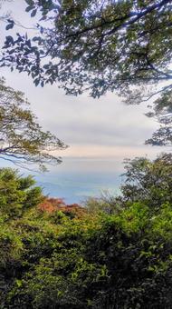木々の間に広がる街並み 茨城県,ハイキング,絶景の写真素材