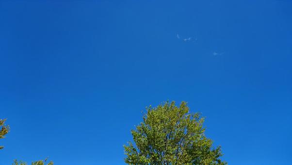 青空と緑の写真