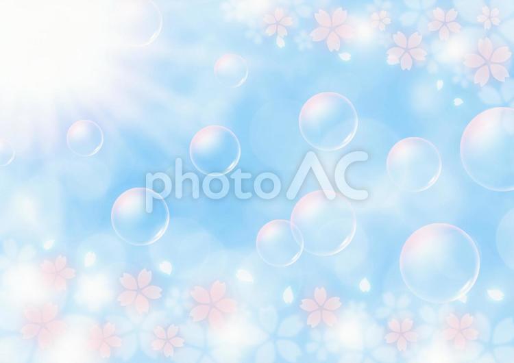 桜吹雪とシャボン玉　春の日差し　背景素材（水色） 桜,春,桜吹雪の写真素材