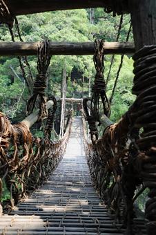 祖谷渓谷かずら橋4 祖谷渓谷かずら橋4の写真