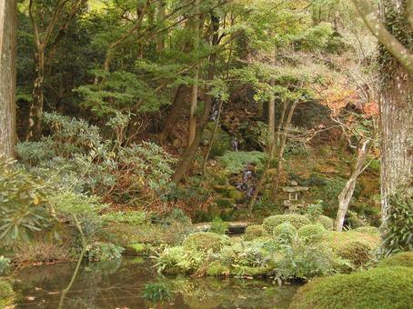 京都 大原 京都 大原の写真