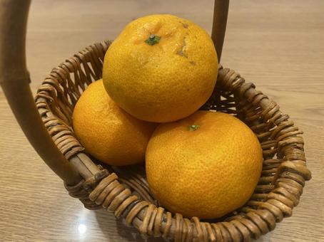 みかん みかん,果物,ビタミンの写真素材