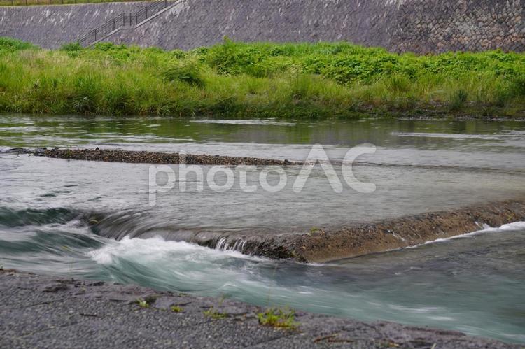 川の流れ 鴨川,川,流れの写真素材