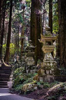 熊本県　上色見熊野座神社の風景 上色見熊野座神社,熊本,高森町の写真素材