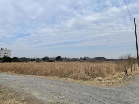 田舎の風景 田舎の風景 砂利道,二股の道,分岐点の写真素材