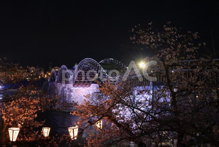 岩国　錦帯橋と桜 錦帯橋,桜,さくらの写真素材