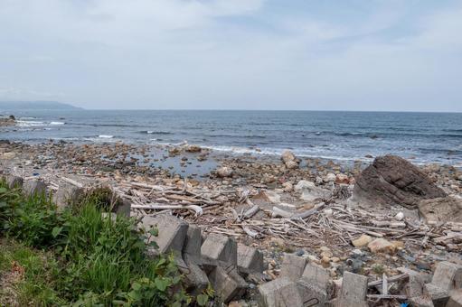 流木多数の海岸 流木多数の海岸 海岸,流木,洪水の写真素材